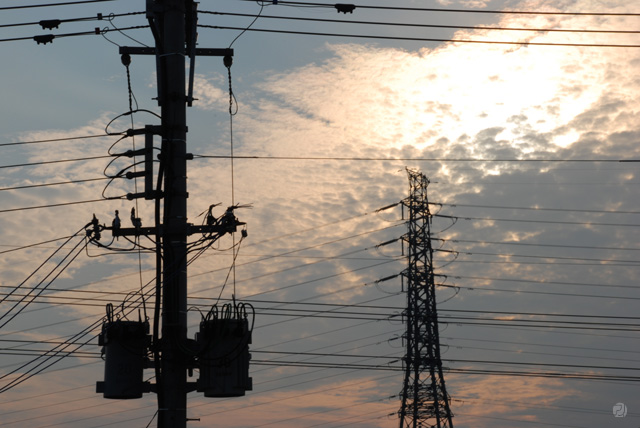 電信柱