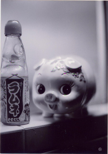 ぶたちょいきん