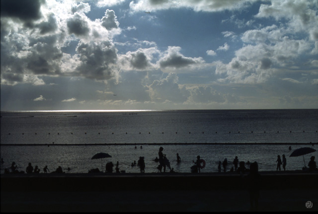 海