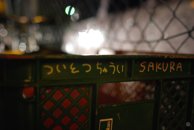 DSC_0436.jpg